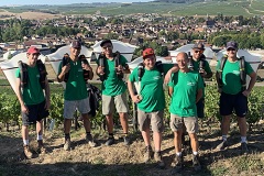 Vendanges Manuelles